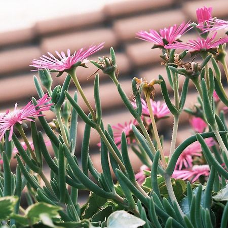 Comecasa Flowery Terraced Apartment 米兰 外观 照片