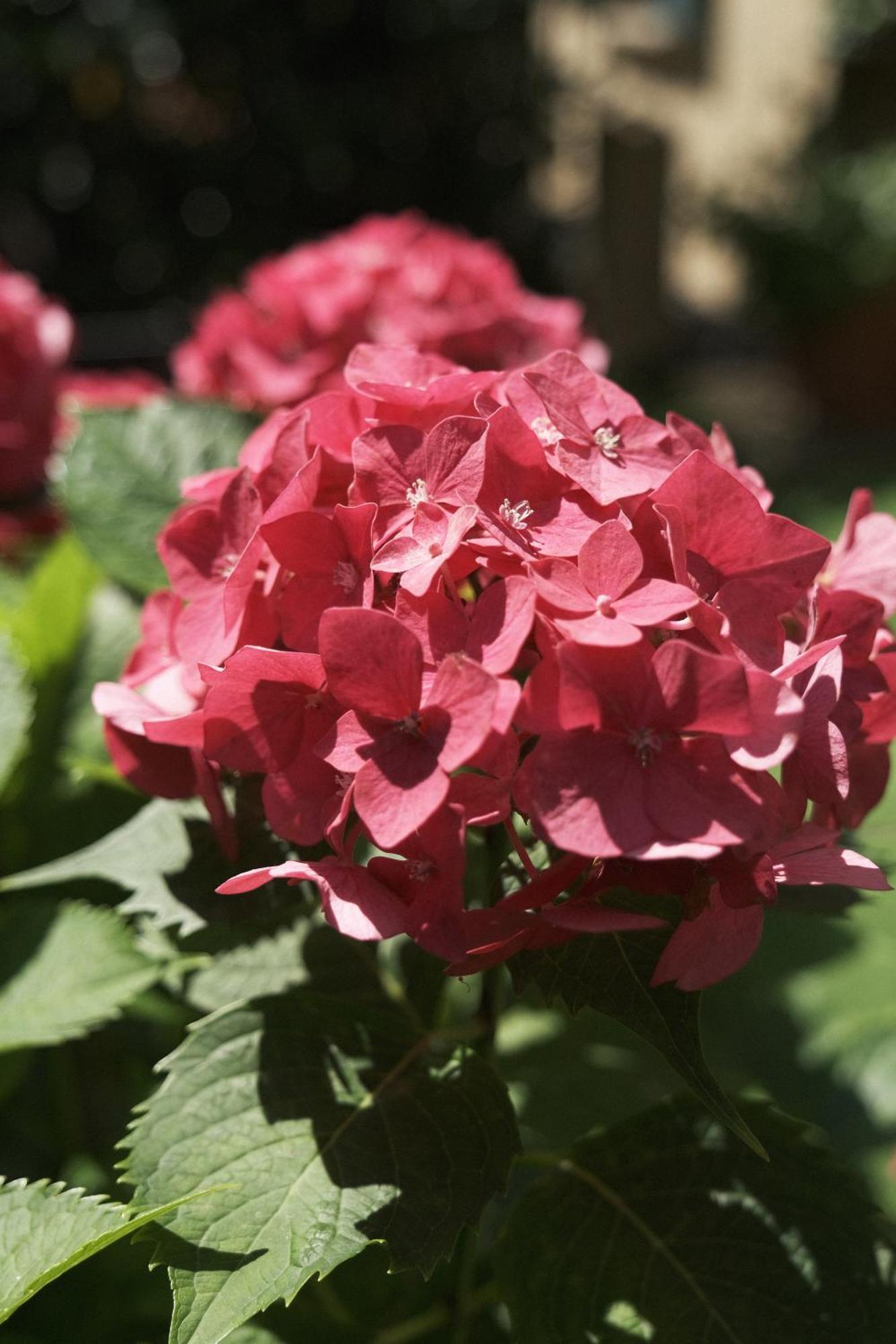 Comecasa Flowery Terraced Apartment 米兰 外观 照片